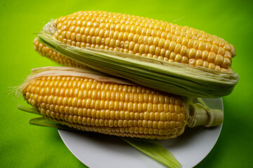 yellow corn on white plate on green background