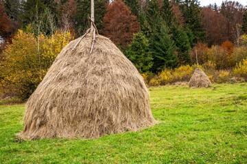 A large number of haystacks in a green meadow with cloudy weather