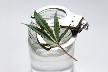 Defocus cannabis marijuana leaf, handcuffs, can of water. The illegality of drugs. White background. Transparent container. Minimalism. Out of focus