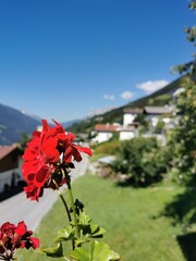 Fototapeta na wymiar Österreich - Tirol - Landeck