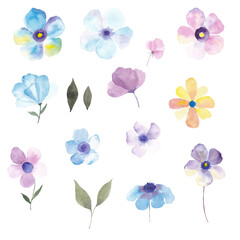 Fototapeta na wymiar Paint set of hand-drawn watercolor flowers on a white background. Use for menus, invitations, wedding