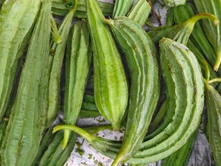 Gambas or oyong  vegetable(Luffa acutangula green).