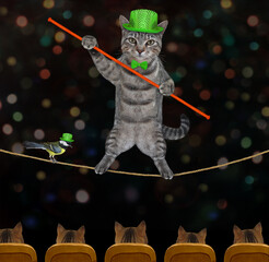 A cat gray acrobat in a green hat and a bow tie with a pole is walking on a tightrope in a circus.