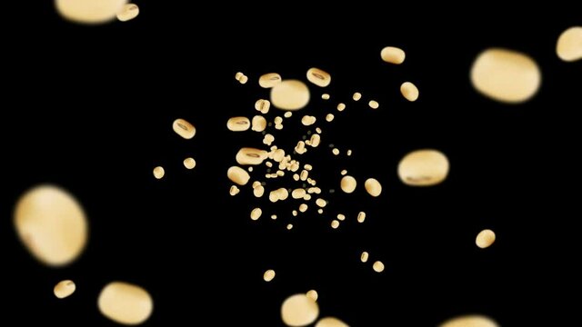 Flying many soybeans on black background. Light brown grains. Soya bean and soja. Healthy food. 3D loop animation of soy beans rotating.