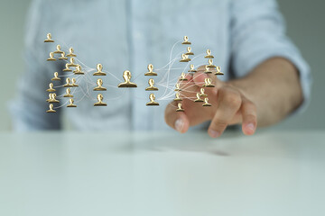 digital hierarchy connection team group net