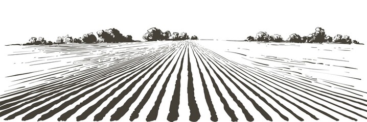 Vector farm field landscape. Furrows pattern in a plowed prepared for crops planting. Vintage realistic engraving sketch illustration. - obrazy, fototapety, plakaty
