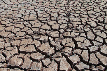 The drought land texture in Thailand. The global shortage of water on the planet. Global warming and greenhouse effect concept.