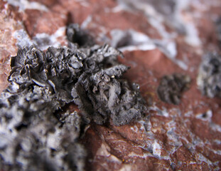 Close-up of the stone. Interesting natural background.
