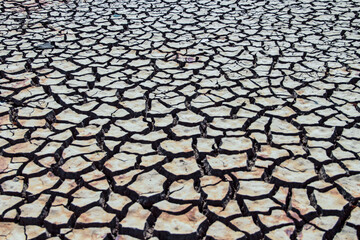 The drought land texture in Thailand. The global shortage of water on the planet. Global warming and greenhouse effect concept.