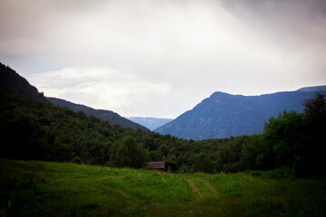 Fototapeta premium comprehension