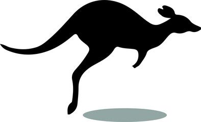 kangaroo vector illustration isolated on background