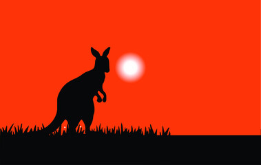 kangaroo vector illustration isolated on background