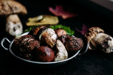 Fresh forest mushrooms  on the table. White mushroom, butter dish