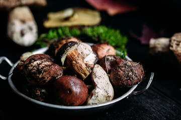 Fresh forest mushrooms  on the table. White mushroom, butter dish