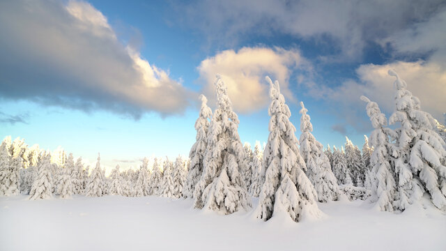 Neuschnee