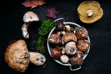 Fresh forest mushrooms  on the table. White mushroom, butter dish