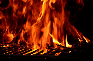 Big fire on the grill width wood. Recycle pruning wood.