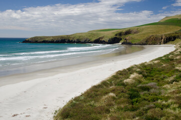 Fototapeta na wymiar Pipikaretu beach in Yellow-Eyed Penguin Reserve. Otago Peninsula. Otago. New Zealand.