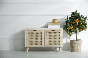 Wooden commode near white wall in room. Interior design