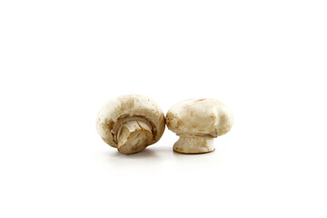 mushroom isolated on white