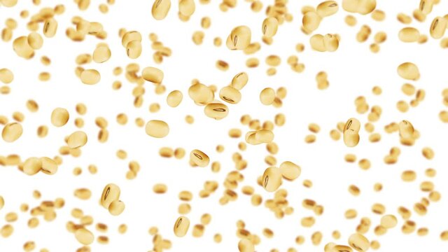 Flying many soybeans on white background. Light brown grains. Soya bean and soja. Healthy food. 3D loop animation of soy beans rotating.