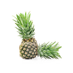 Fototapeta premium pineapple isolated on a white background