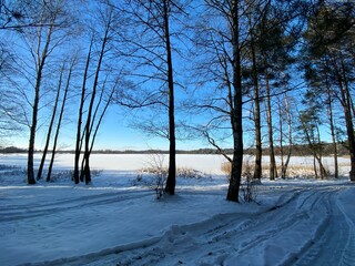Fototapeta na wymiar Las sosnowy zasypany śniegiem w okolicach Włodawy Polska śnieg zasypał drogę polną słoneczny dzięń błękit nieba