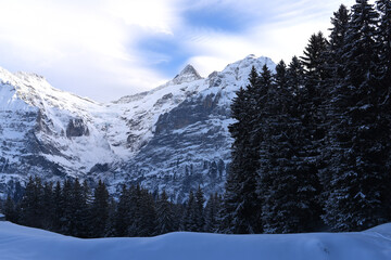  Finsteraarhorn im Berneroberland