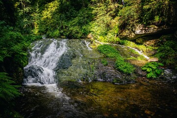 waterfall in the forest