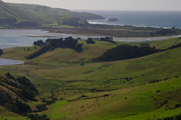 Fototapeta na wymiar Landscape in Otago Peninsula. Otago. South Island. New Zealand.