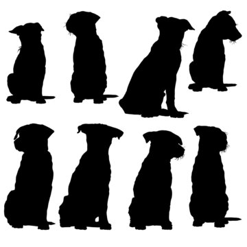 Silhouette of a dog in sitting position