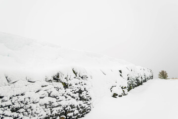 Fototapeta na wymiar snow covered hills