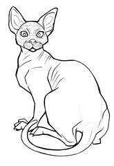 Vector illustration funny Sphynx cat linear drawing. sitting angry displeased bald cat. Line art template for coloring book page. Print isolated on white background. sitting pet freehand drawing