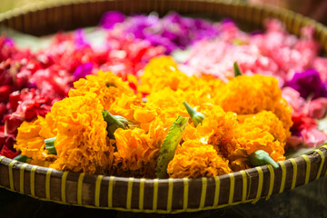 Ścięte, kolorowe kwiaty w koszu © Anna
