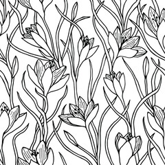 Seamless pattern of saffron flowers, crocus. Vector stock drawing eps10. Isolate on white background, outline. 