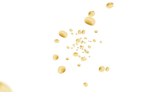 Flying many soybeans on white background. Light brown grains. Soya bean and soja. Healthy food. 3D loop animation of soy beans rotating.