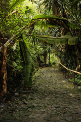 Fototapeta premium paisaje hermoso 