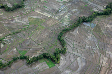 Aerial view, the rice fields that look not green because they have just been planted with seeds.