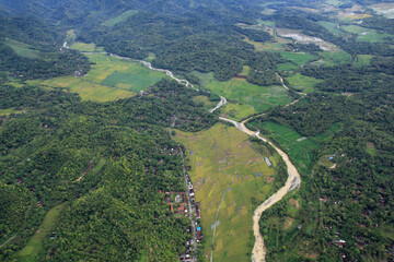Aerial view, green rice fields and residential areas on the outskirts of a lush and peaceful village.