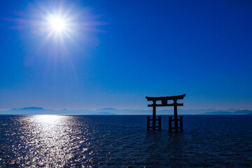 【滋賀】白髭神社の鳥居 琵琶湖
