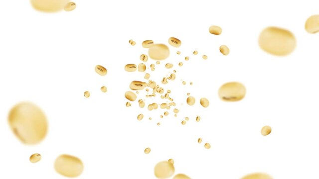 Flying many soybeans on white background. Light brown grains. Soya bean and soja. Healthy food. 3D loop animation of soy beans rotating.