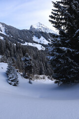 Wetterhorn, Berneroberland, Grindelwald, Winterlandschaft