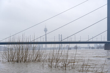 Hochwasser des Rheins in Düsseldorf