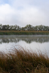 Wheat on the lake full of fog beautiful landscape reflection with blue sky with clouds on the background