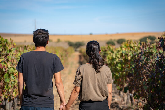 Caucasian couple holding hands on a vineyard with blue sky on the background, in Alentejo