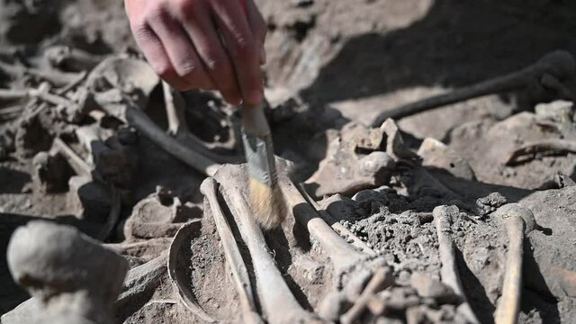 An archaeologist sweeps dust off human remains during archaeological excavations.