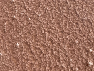 A beautiful salt lake with pink water. Beautiful view of pink lake on summer day. Pink salt