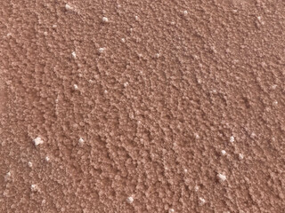 A beautiful salt lake with pink water. Beautiful view of pink lake on summer day