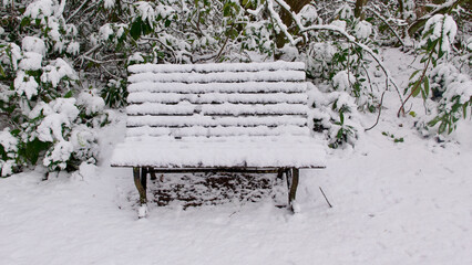 Snow covered old fashioned wooden garden seat with foliage behind