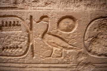 Sa-Ra hieroglyph. Son of Re as duck and sun. Son of the egyptian solar deity. Ancient Egyptian hieroglyphs on a wall in the Karnak Temple of Luxor